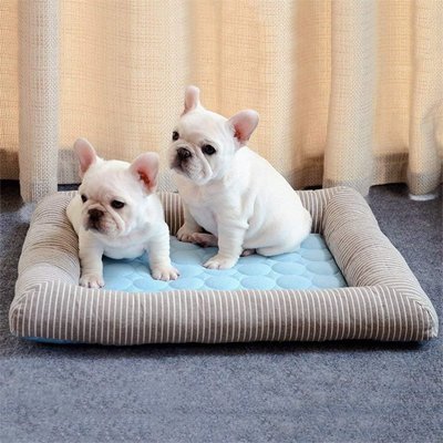 Tapis rafraichissant Chien | Confort Optimal - Paradis de Chien
